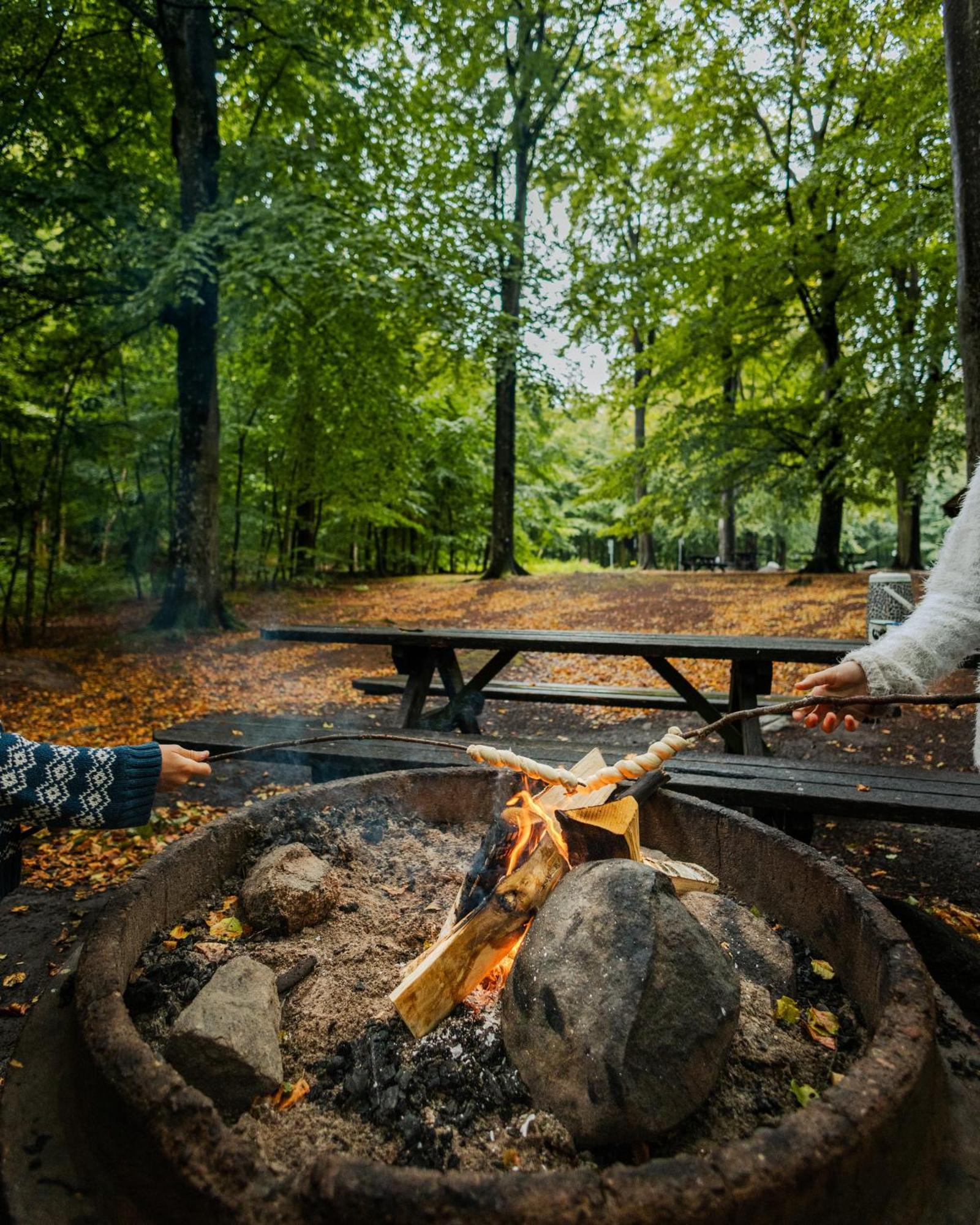 Visit Oerestrand Strandbaden 외부 사진